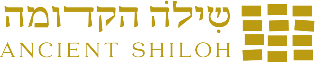 לוגו_זהב_מנוקד removebg preview 1024x203 1